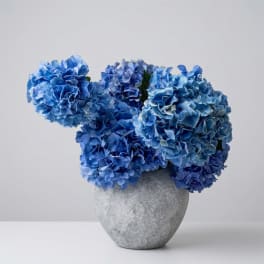 Blue hydrangea arrangement in a gray vase