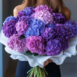 Large bouquet of purple, pink, and blue hydrangeas wrapped in white paper
