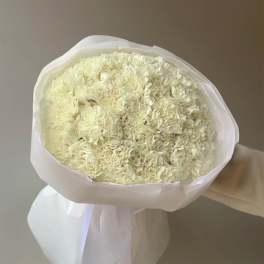 Bouquet of cream carnations wrapped in white paper