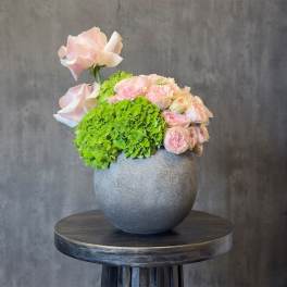 Blush Harmony