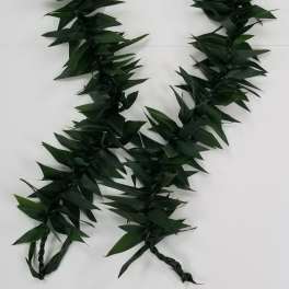 Long dark green leaf garland or lei with braided ends on a white background