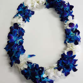Lei of blue and purple orchids mixed with white blossoms in an oval shape