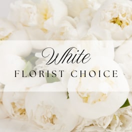 White Florist Choice