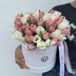 Pink and white fringed tulips arranged in a white hat box