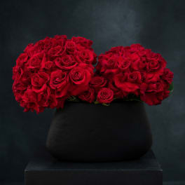 Two dense red rose bouquets in a black vase on a pedestal