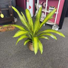 8" Marley -- Green Plant
