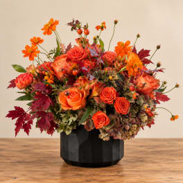 Orange roses and cosmos in a black vase with autumn leaves
