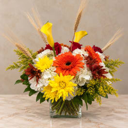 Mixed bouquet with gerbera daisies, roses, calla lilies, and wheat in a glass vase