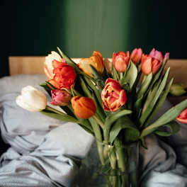 A glass vase of multicolored tulips on a bed