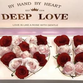 Heart-shaped rose arrangements in red and pale pink with a gift box