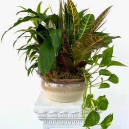 Tropical foliage arrangement in a ceramic bowl on a pedestal