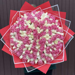Large bouquet of pink and white roses wrapped in red paper