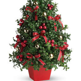 Deck The Halls Tree