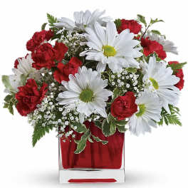 Red And White Delight by Teleflora