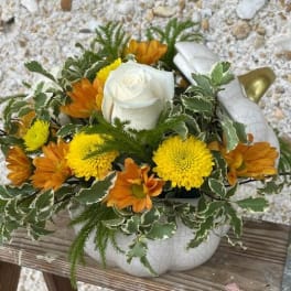 White rose and yellow-orange flowers in a white pumpkin container