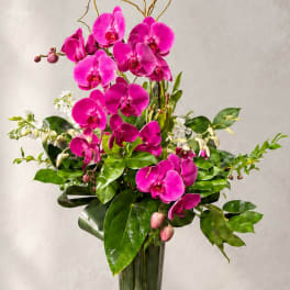 Tall arrangement of bright pink orchids in a glass vase