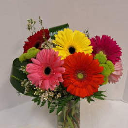 Colorful gerbera daisy bouquet in a glass vase