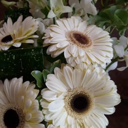White gerbera daisies and white orchids in a bouquet
