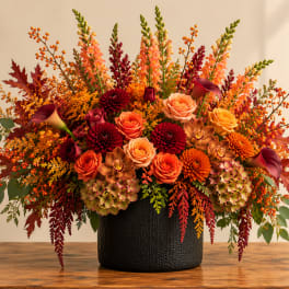 Autumn floral arrangement with roses, dahlias, calla lilies, and orchids in a black vase