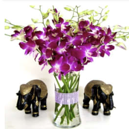 Purple orchids in a clear vase with two decorative elephant figurines