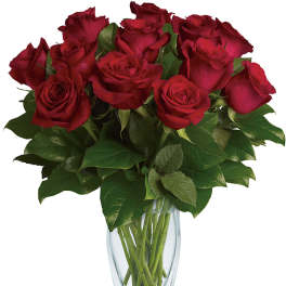 Red roses arranged in a clear glass vase
