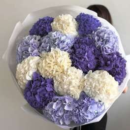 Bouquet of purple and white hydrangeas wrapped in white paper