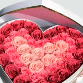 Heart-shaped box filled with pink and red roses