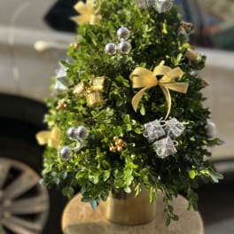 Small decorated evergreen tree with gold and silver ornaments