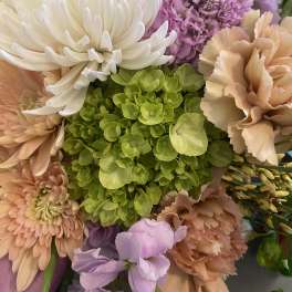 Close-up bouquet of white, peach, and lavender flowers with a green hydrangea center