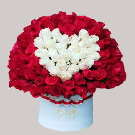 Red and white roses arranged in a round hatbox