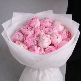 Bouquet of pink peonies wrapped in white paper