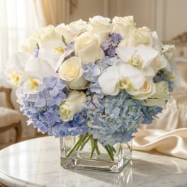 White roses and orchids with pale blue hydrangeas in a glass vase