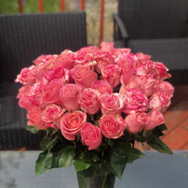 Four Dozen Pink Roses in a vase