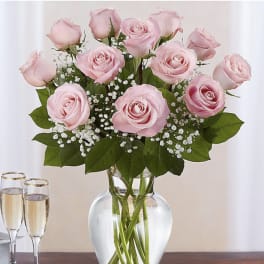 Dozen Long Stemmed Pink Roses