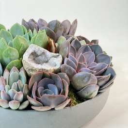 Succulent arrangement in a shallow gray bowl with a crystal stone