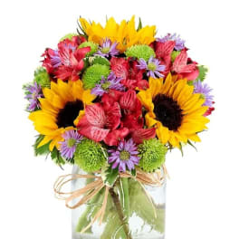 Mixed bouquet of sunflowers, red flowers, and purple daisies in a glass vase