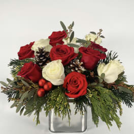 Red and white roses arranged in a square glass vase with pinecones and greenery