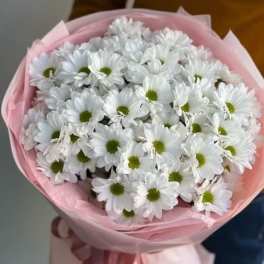 White Daisies hand bouquet with wrapping.