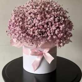 Pink babysbreath with box.