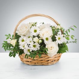 Pristine by BloomNation™