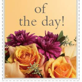 Card with flowers and the words "deal of the day!"