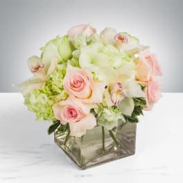 Elegant by BloomNation™