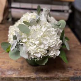 White hydrangea bouquet with eucalyptus in a vase