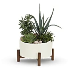 Potted succulent arrangement in a white planter on wooden legs