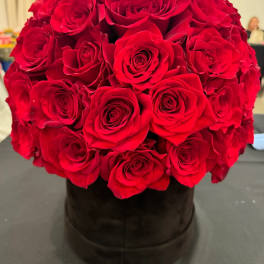 Round bouquet of red roses in a black box