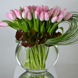 Just Pink Tulips