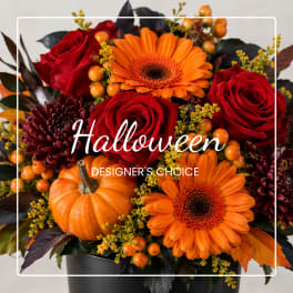 Halloween floral arrangement with roses, gerbera daisies, and a pumpkin