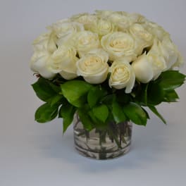 White Love