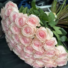 Bouquet of pale pink roses with green foliage