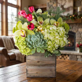 Holiday Cheer (BB)